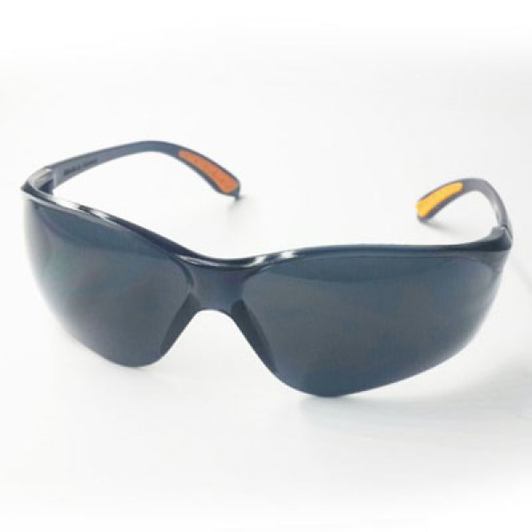 Kính bảo hộ Everest EV202